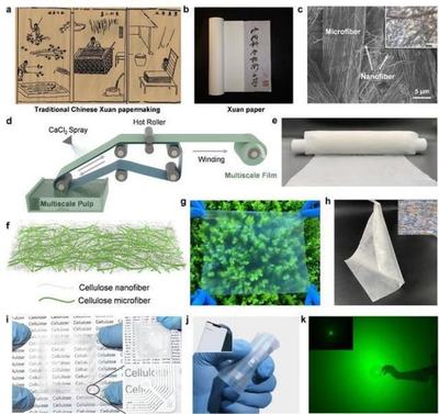 中國科學技術大學引領創新 新型柔性顯示膜材料問世，開啟顯示技術新篇章
