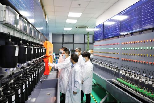 寶山七企躋身市級科技小巨人行列，區域創新動能加速釋放